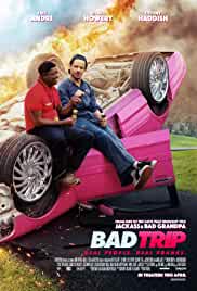 Bad Trip 2020 Hindi Dubbed 480p FilmyMeet